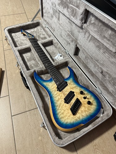 Ormsby hype gtr swamp - swamp, ash
