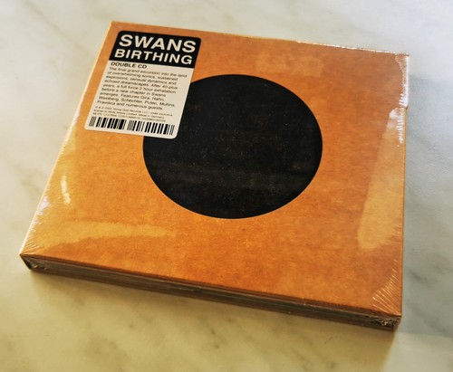 Swans birthing double - 2,